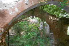 DSCN1383